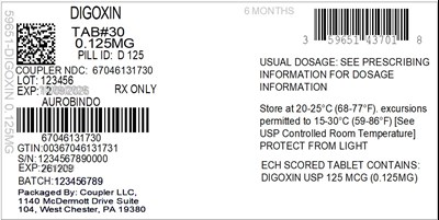 Label (59651 437 01 Digoxin 0.125mg 67046 1317 30)